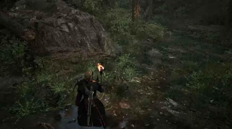 Flame Thorn
