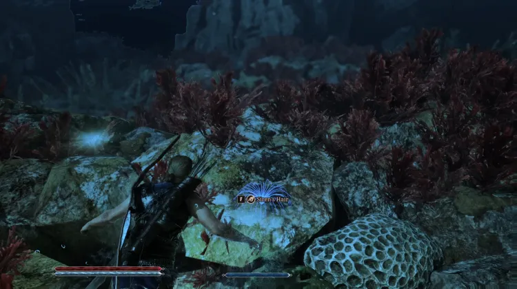 Siren's Hair