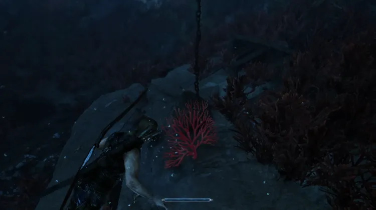 Siren's Hair