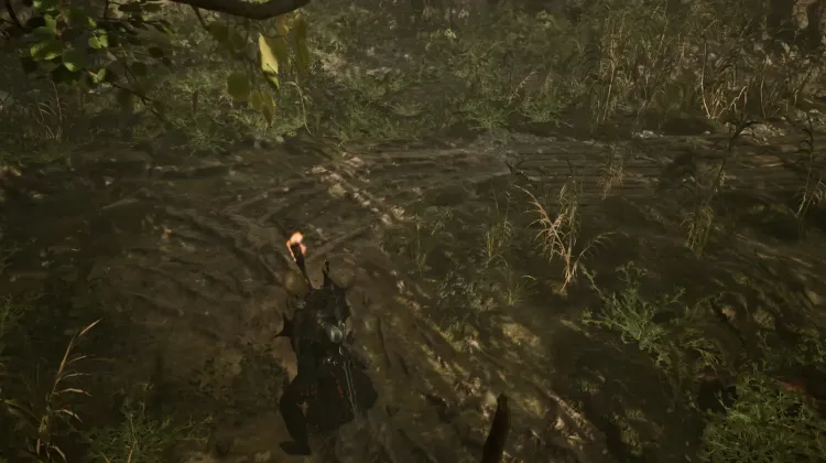 Swampweed