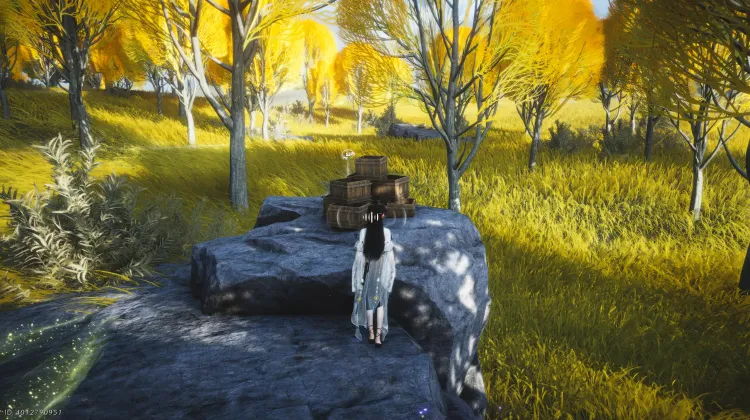 Treasure