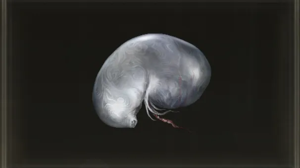 Larval Tear