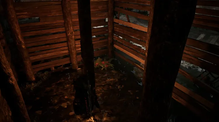 Wild berries