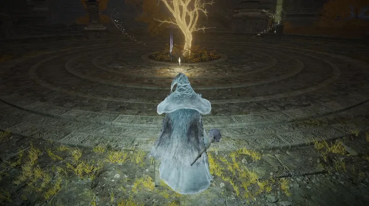 Outer Wall Phantom Tree