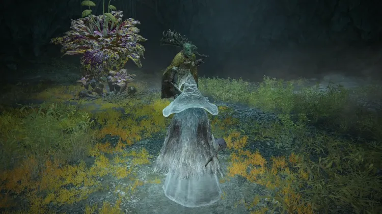 Miranda, the Blighted Bloom & Omenkiller