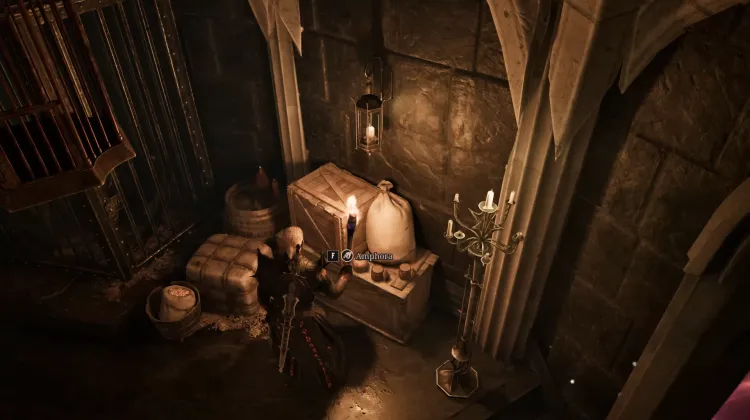 Amphora