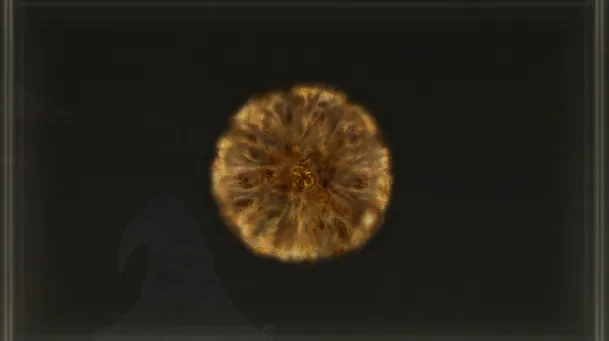Hero's Rune [1]