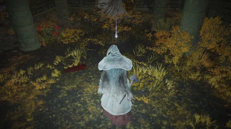 Sacred Tear