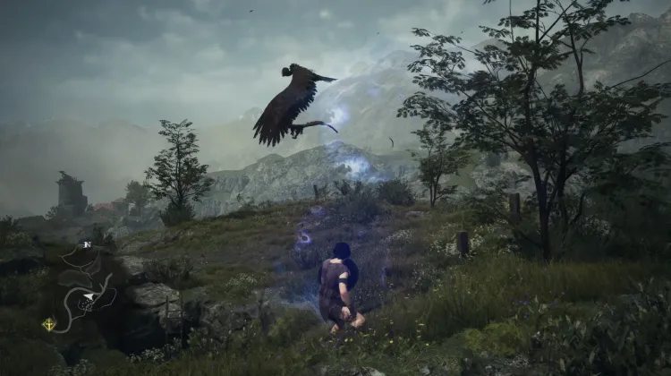 Harpies