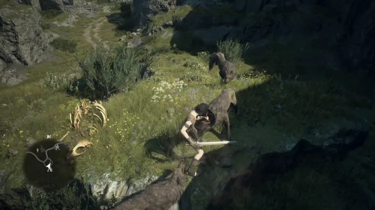 Wolves