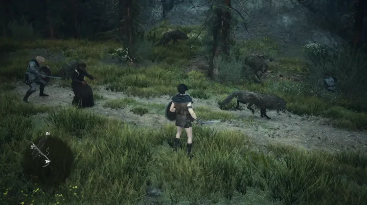 Wolves
