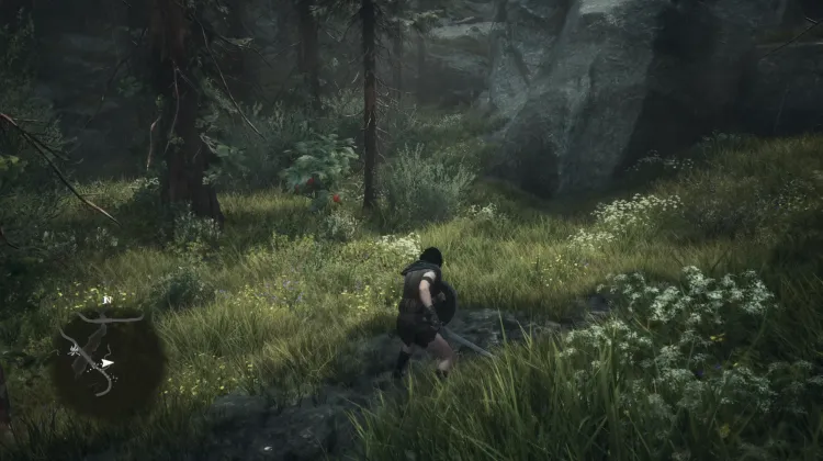 Wolves