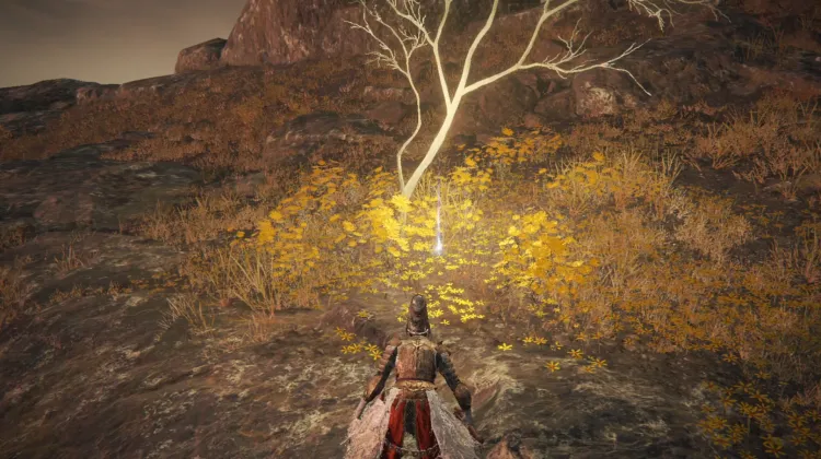 Golden Seed