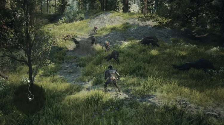Wolves