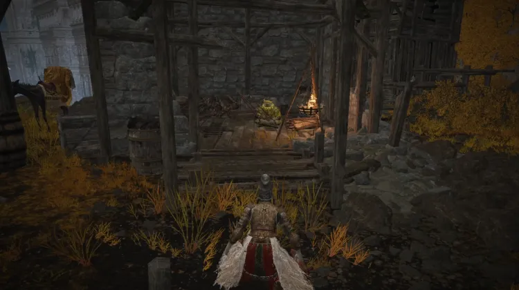 Hermit Merchant