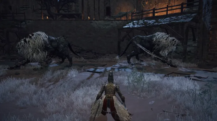 Lion Guardian x 2