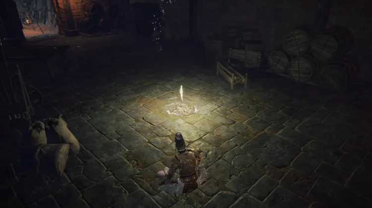 Chamber Outside the Plaza