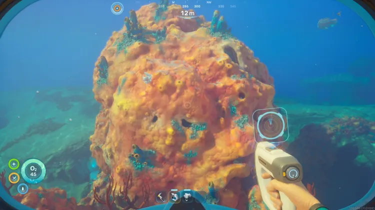 Spider Dome