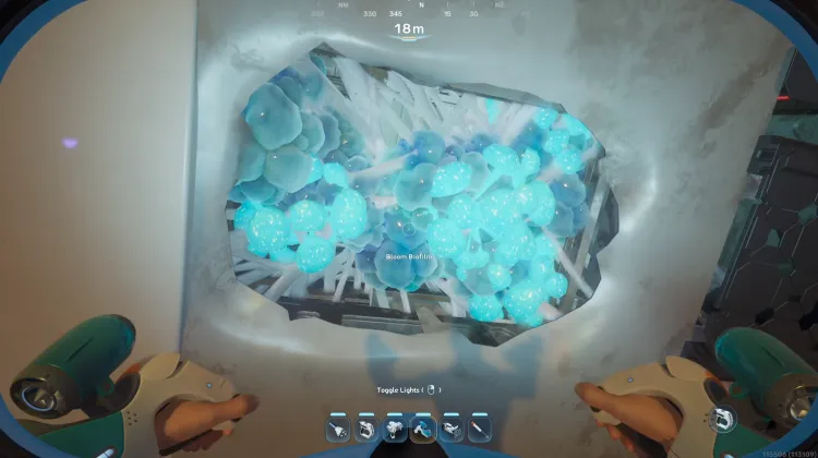 Bloom Biofilm