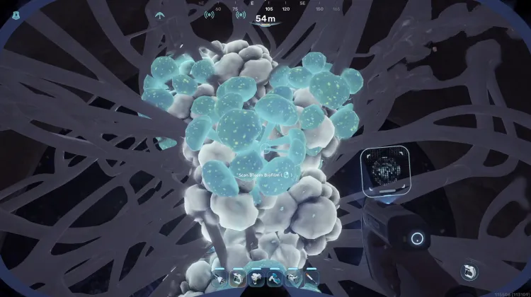 Bloom Biofilm