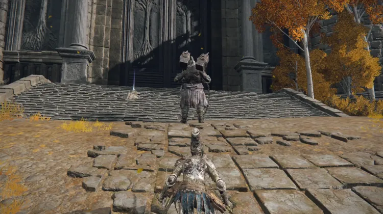 Duelist