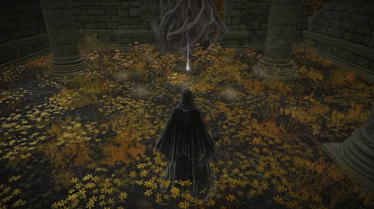 Sacred Tear