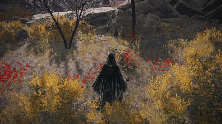 Throwing Dagger x 6