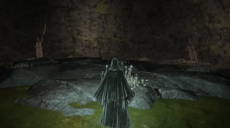 Kindred of Rot