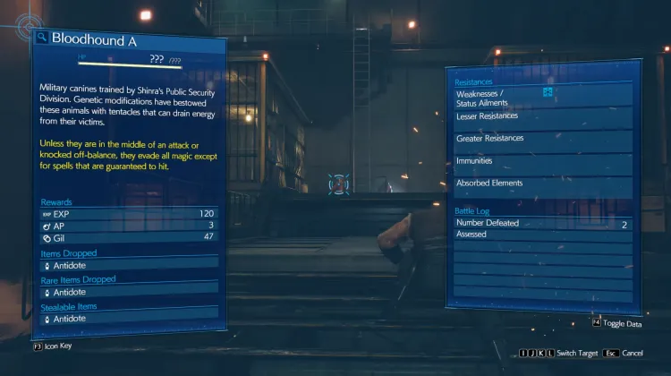 Bloodhound x2