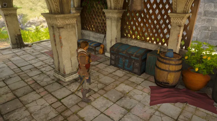 Brown Cloak