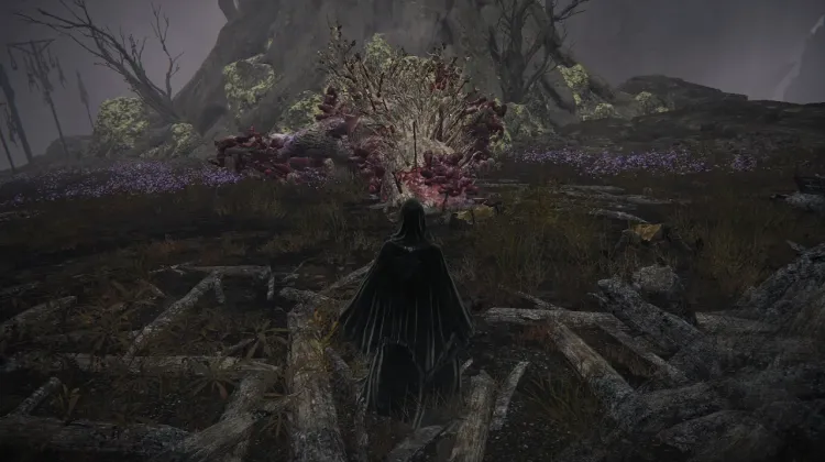 Ulcerated Tree Spirit
