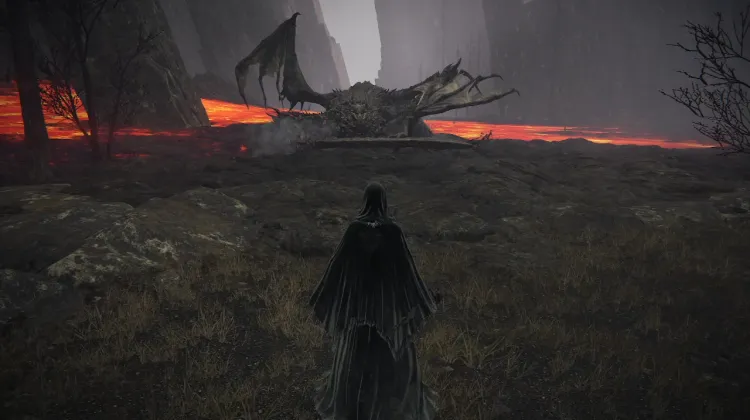 Magma Wyrm