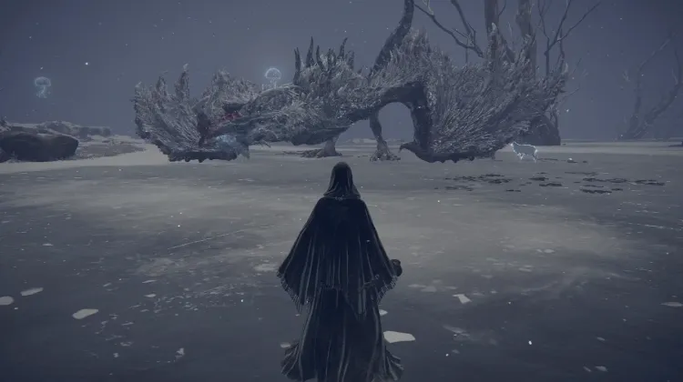 Borealis the Freezing Fog