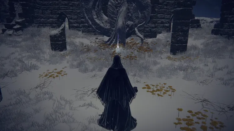 Sacred Tear