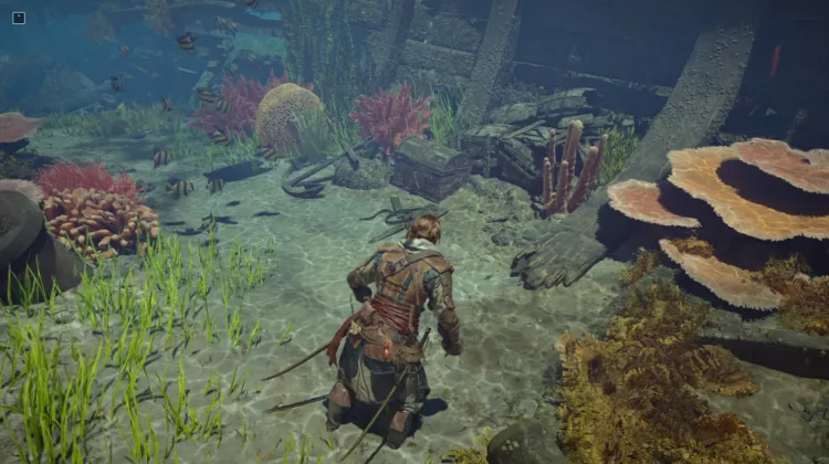 Underwater Chest