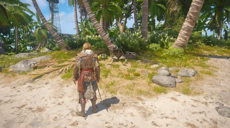 Treasure Map