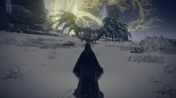Death Rite Bird