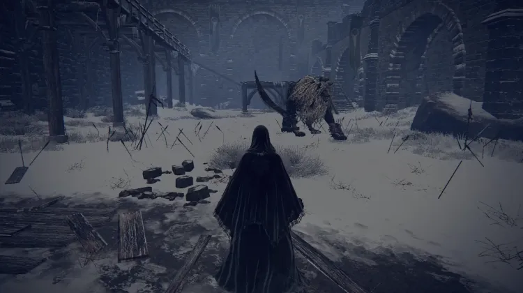 Lion Guardian x 2