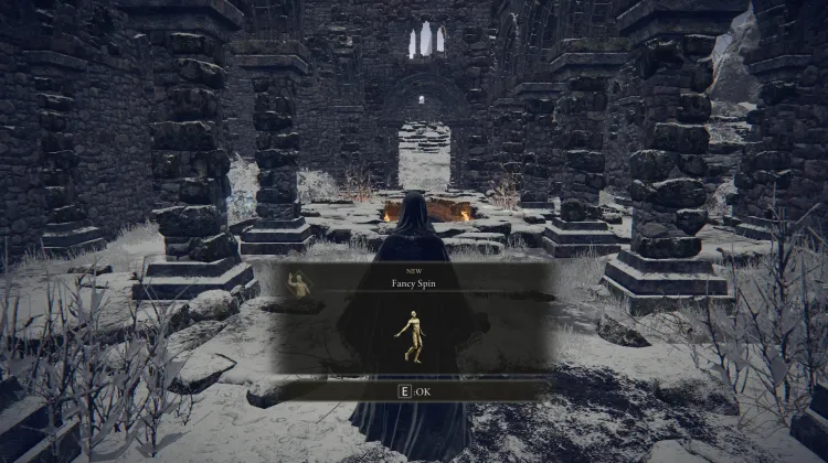 Fancy Spin