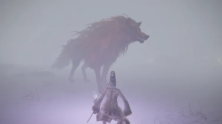 Red Wolf of Radagon