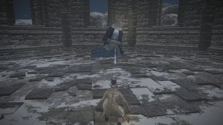 Silver Mirrorshield