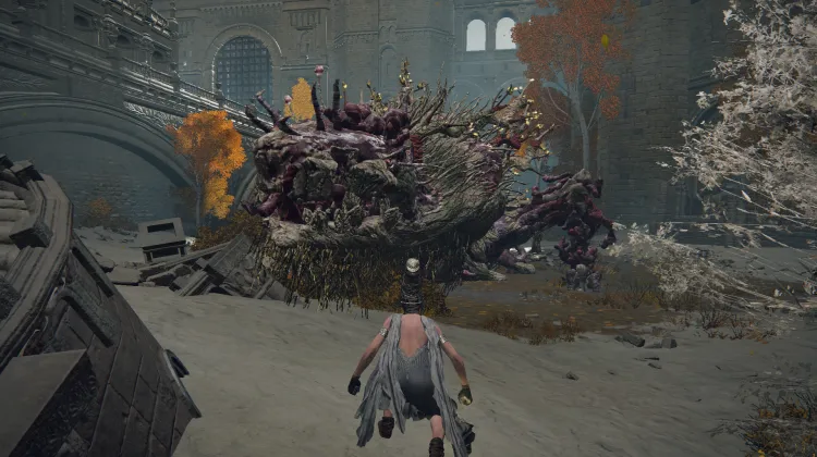 Ulcerated Tree Spirit