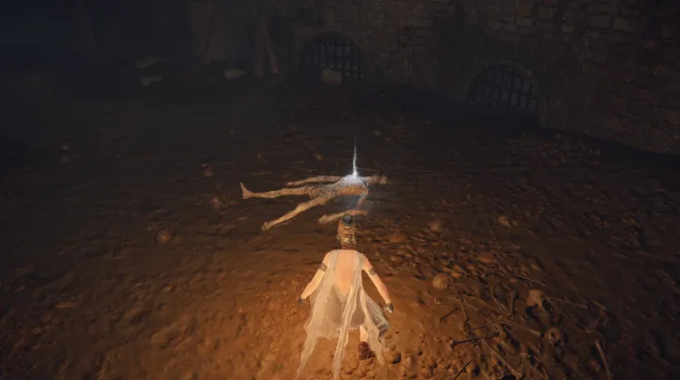 Fan Daggers x 5
