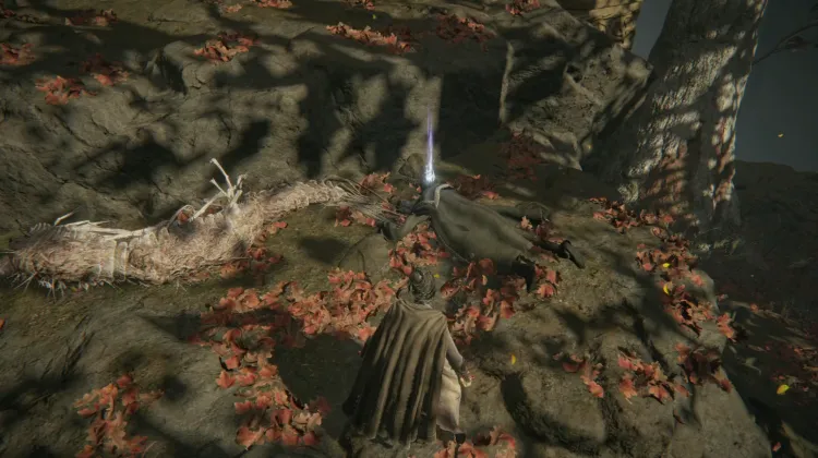 Numen's Rune