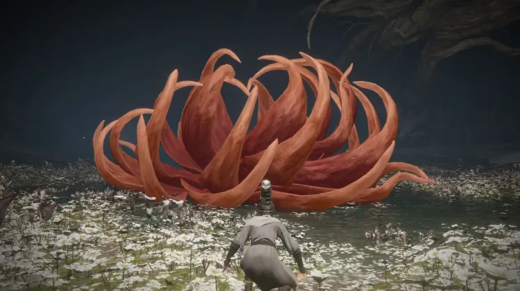 Giant Scarlet Flower