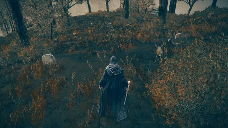 Logur, The Beast Claw