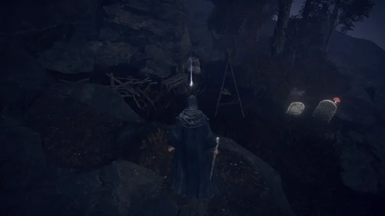 Savage Lion's Claw