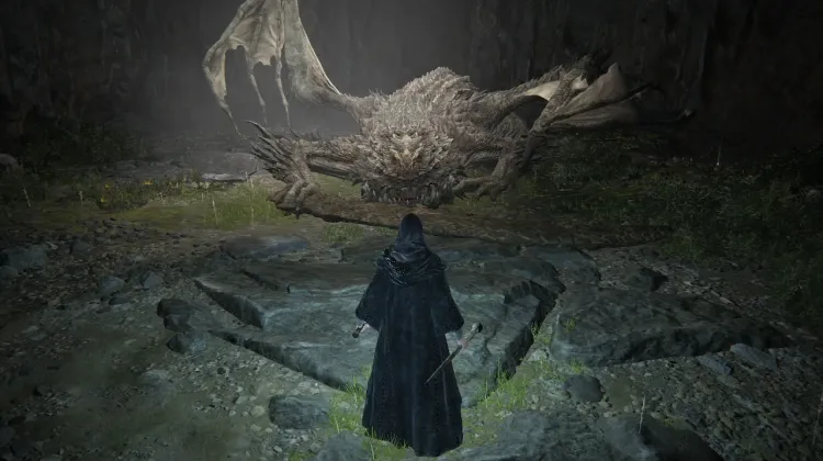 Magma Wyrm