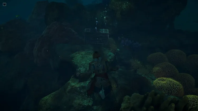 Special Chest