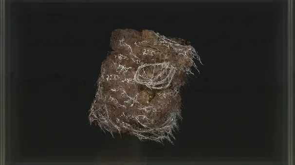 Forager Brood Cookbook [2]